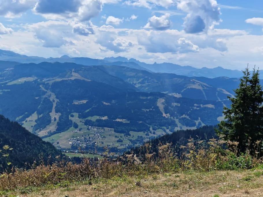 Appartement La Duchere Le Plan-La Giettaz Massif Des Aravis Buitenkant foto