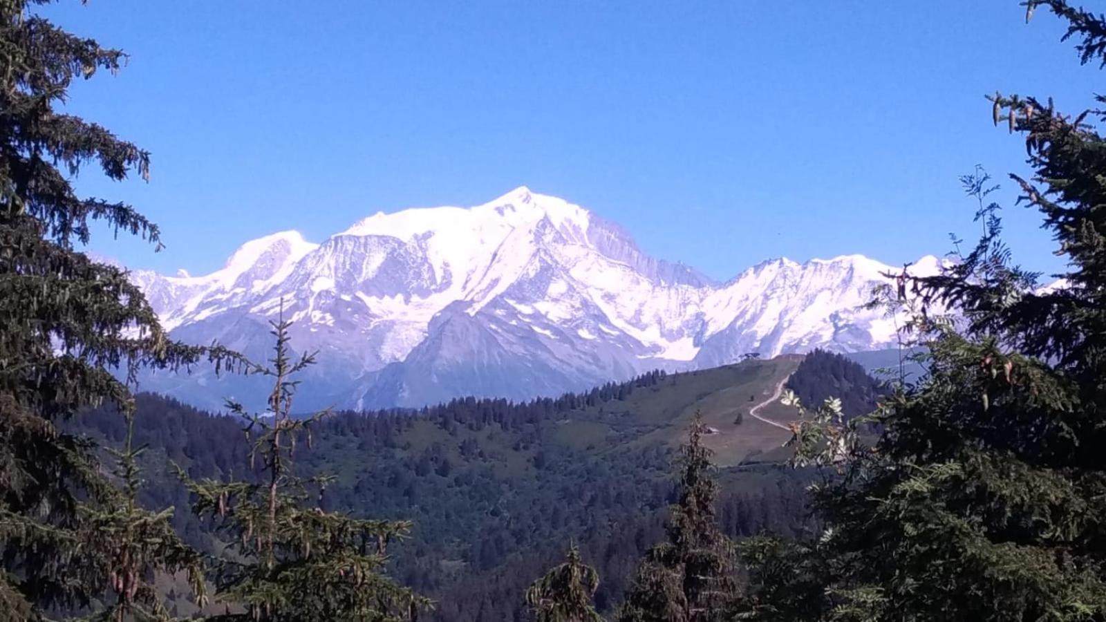 Appartement La Duchere Le Plan-La Giettaz Massif Des Aravis Buitenkant foto