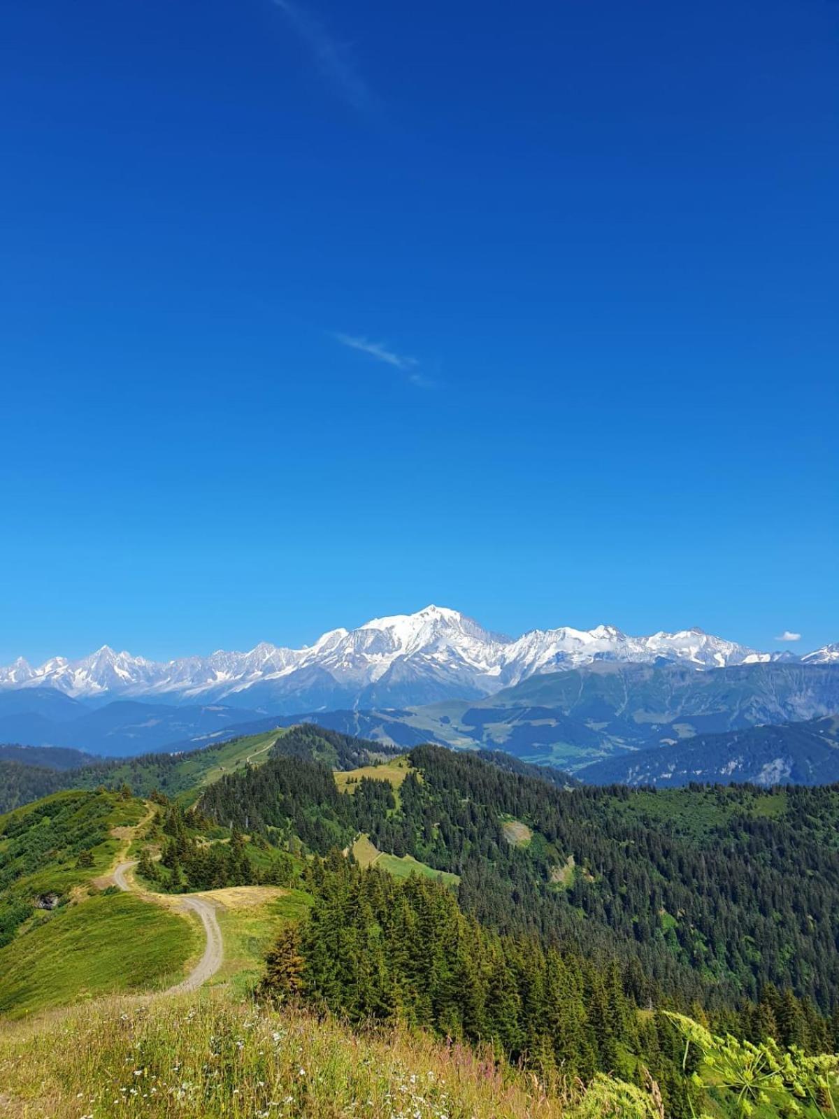 Appartement La Duchere Le Plan-La Giettaz Massif Des Aravis Buitenkant foto