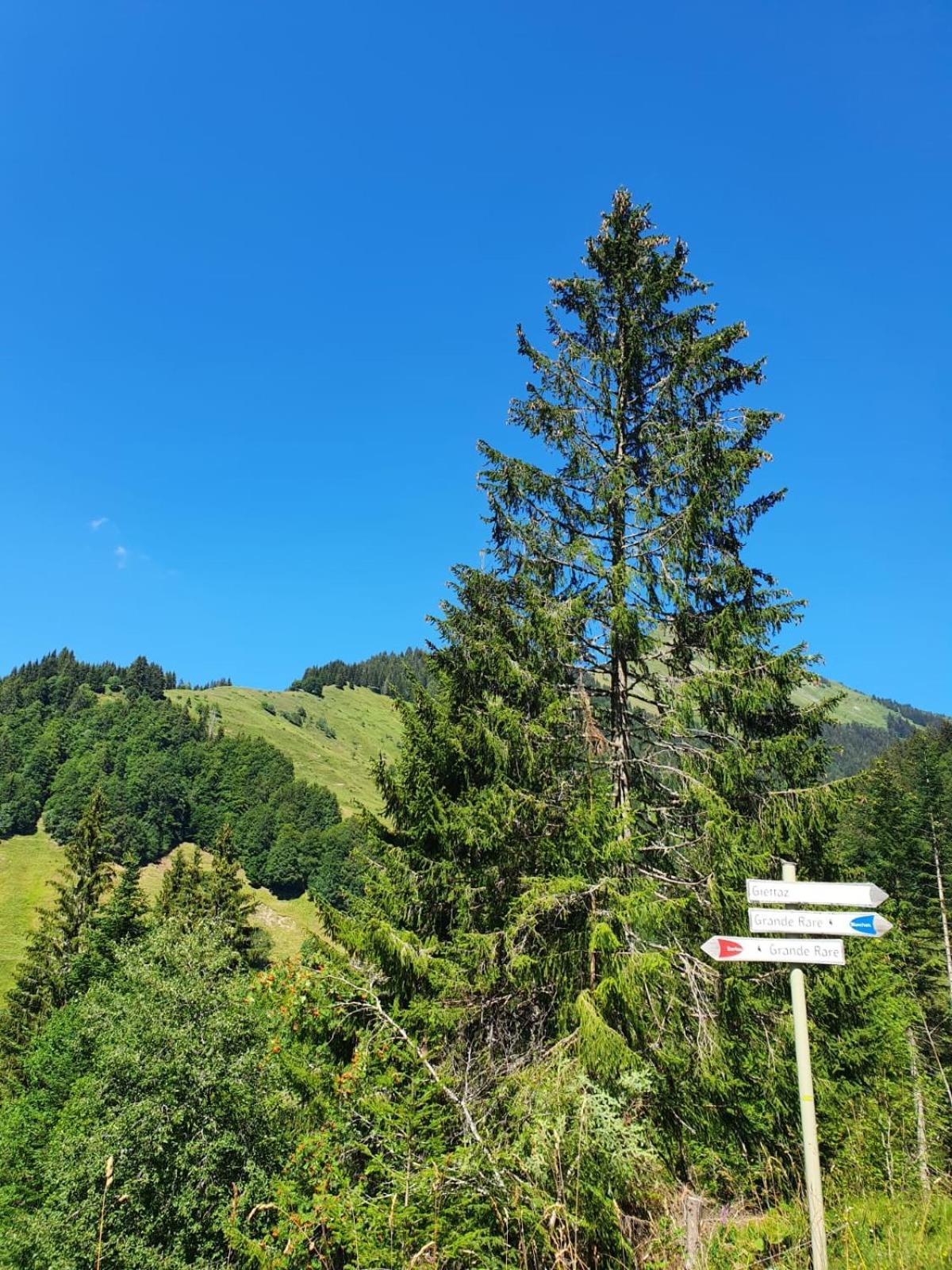 Appartement La Duchere Le Plan-La Giettaz Massif Des Aravis Buitenkant foto