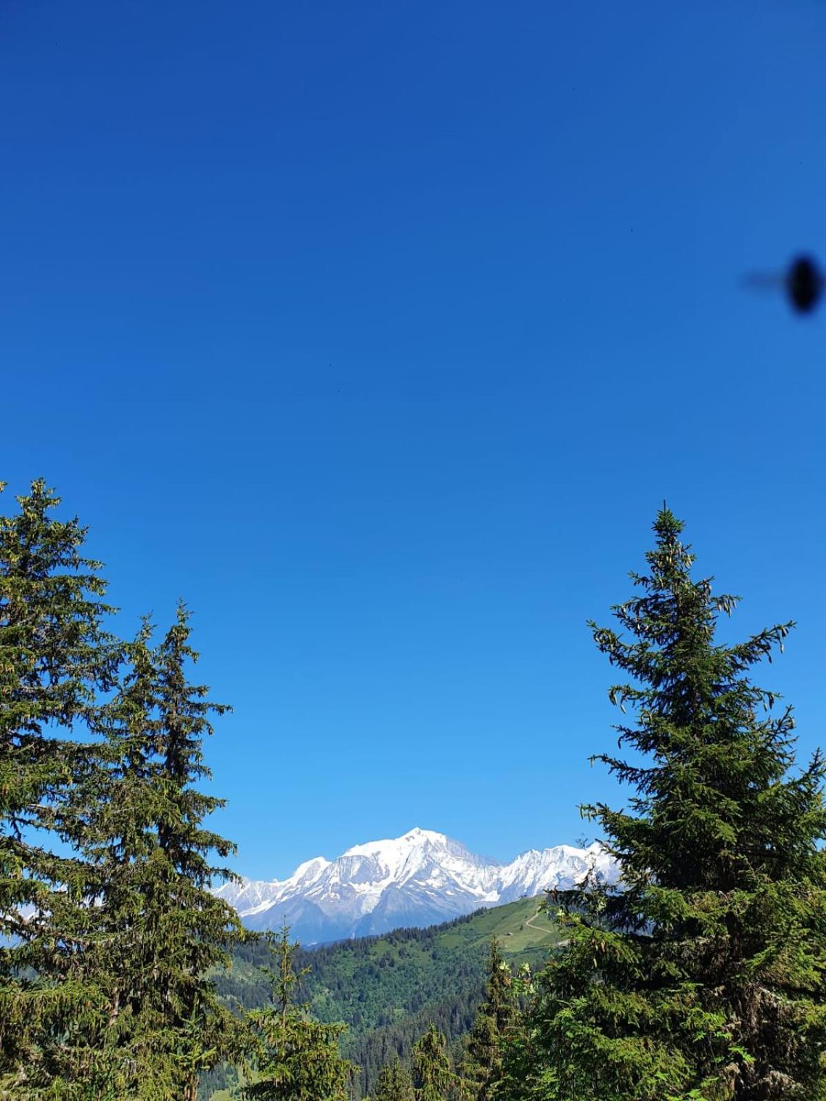 Appartement La Duchere Le Plan-La Giettaz Massif Des Aravis Buitenkant foto
